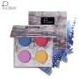Custom Logo Waterproof Cosmetics Beauty Makeup Shining Eye Shadow