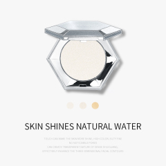 High Quality Waterproof Private Label Pressed Powder