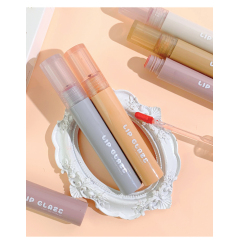 Hot Sale Cosmetic Vendor Moisturizing Waterproof Matte Wholesale Lip Gloss