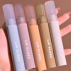 Hot Sale Cosmetic Vendor Moisturizing Waterproof Matte Wholesale Lip Gloss