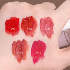 Long Lasting Moisture Women Long Lasting Vegan Lip Gloss