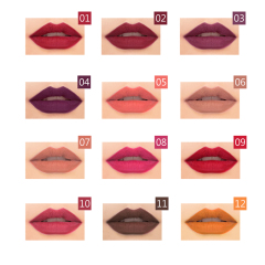 Private Label Cosmetics 12 Color Makeup Outline Waterproof Lip Liner Pencil