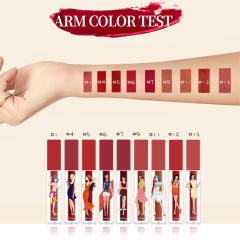 Waterproof Moisturizing Gift Matte Private Label Lip Gloss Set