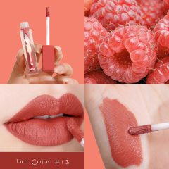 Waterproof Moisturizing Gift Matte Private Label Lip Gloss Set