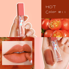 Waterproof Moisturizing Gift Matte Private Label Lip Gloss Set