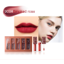 Custom Private Label 5 Colors Velvet Makeup Matte Long Lasting Matte Lip Gloss Set