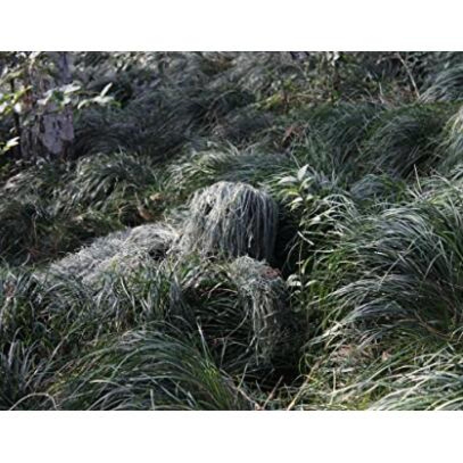 2023 Woodland Camo Outdoor Hunting Ghillie Suit