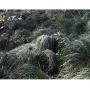 2023 Woodland Camo Outdoor Hunting Ghillie Suit