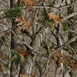 Camouflage