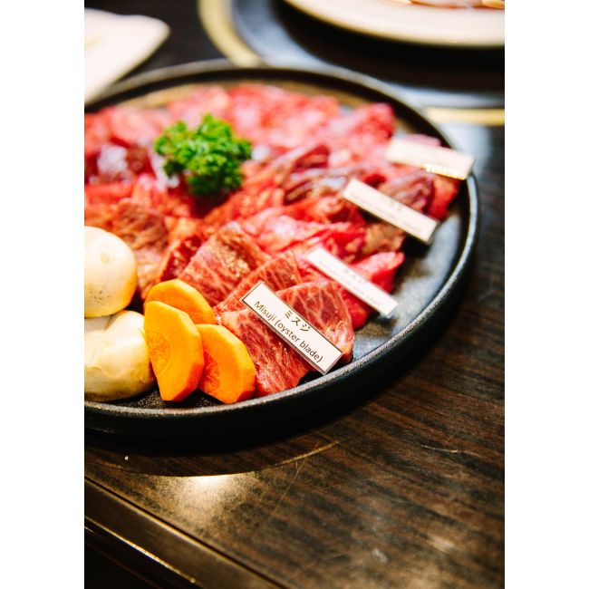 Medium Plate (中)