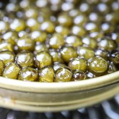 Royal Oscietra Caviar - ARS Italica