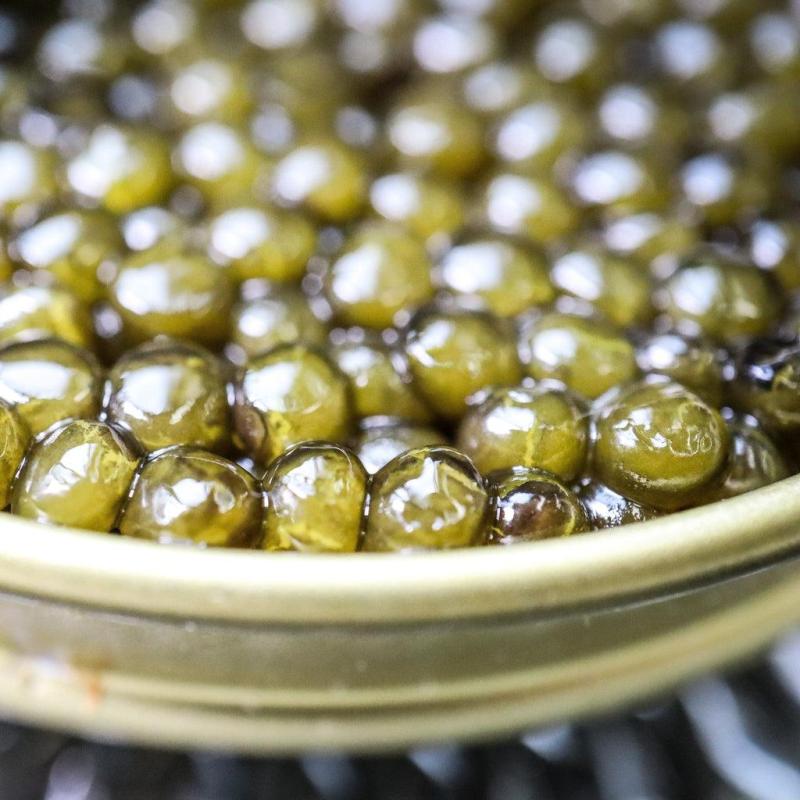 Royal Oscietra Caviar - ARS Italica
