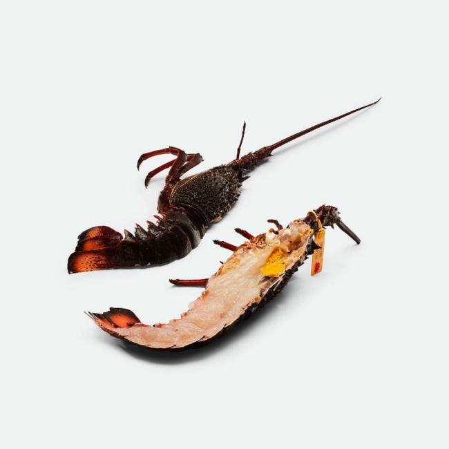 NSW Eastern Rock Lobster Raw - 900g