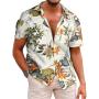 Spring Summer Men's Short Sleeve Summer Casual Beach Hawaii Shirts Shorts