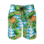 Men's Summer Printed Drawstring Shorts