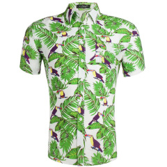 Cotton Hawaiian print cropped shirt