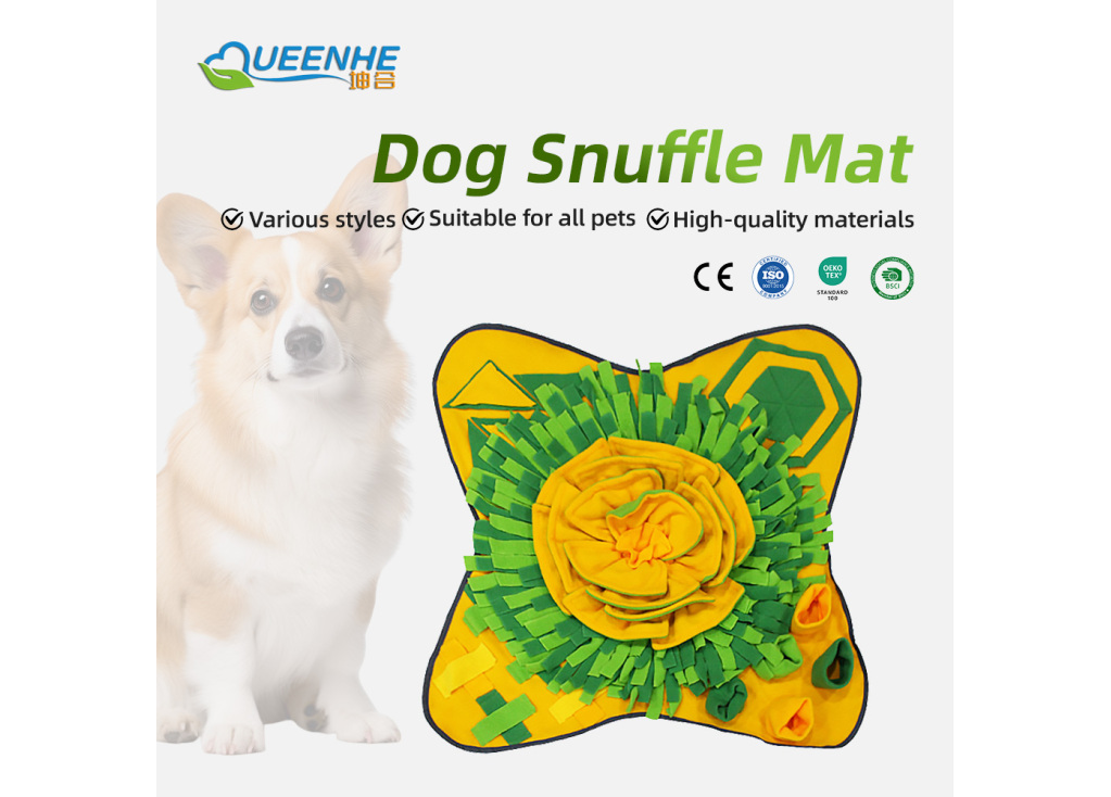 For the Anxious Pet & the Concerned Owner