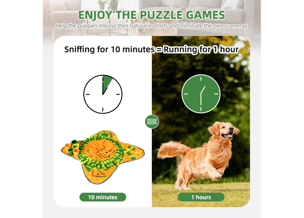 For the Enrichment-Focused & Science-Savvy Pet Parent