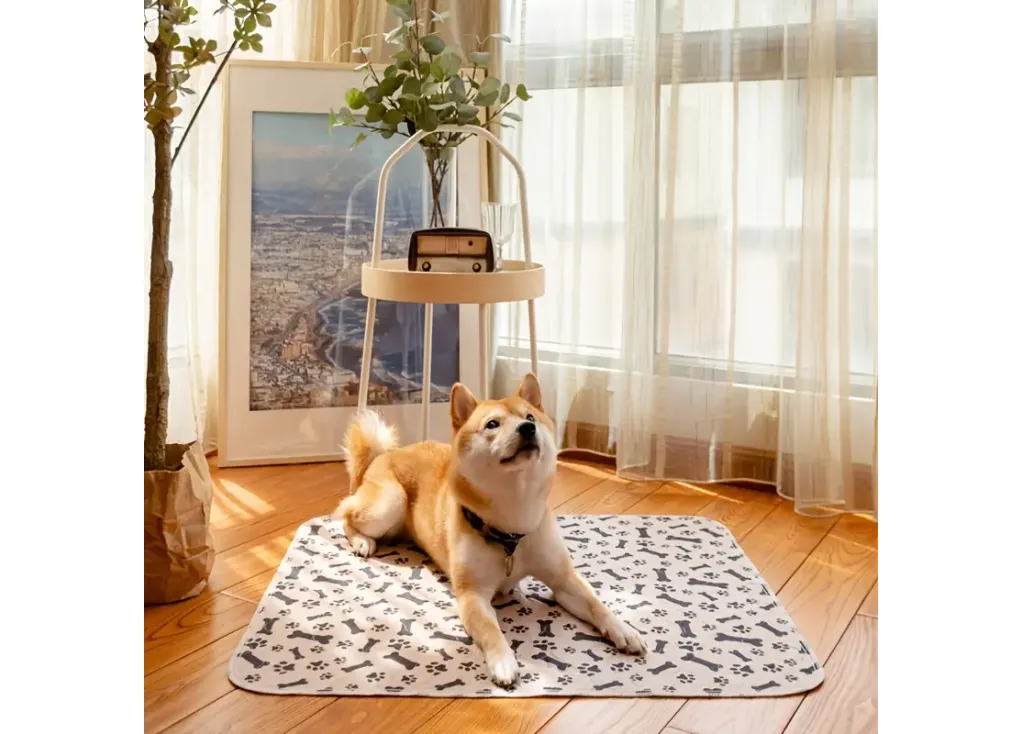 La guía definitiva sobre las alfombrillas lavables para orina de perros: una solución sostenible para los dueños de mascotas