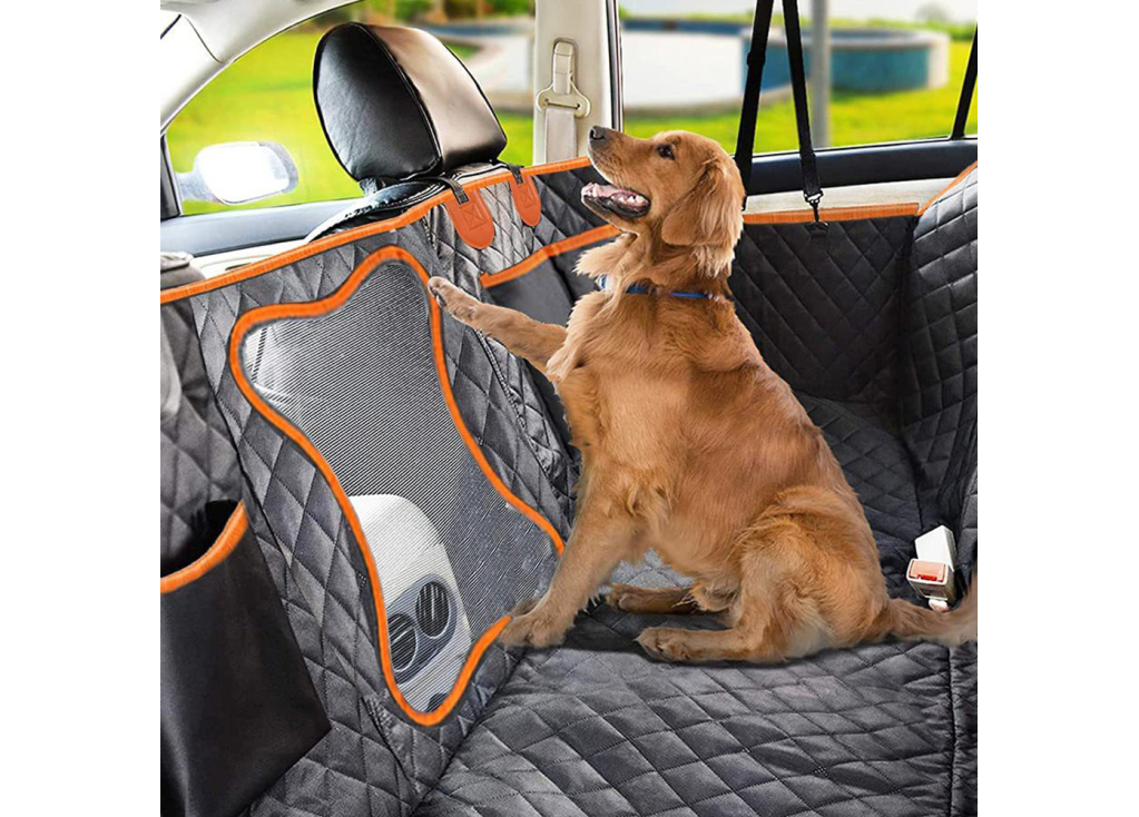 How do I protect my car interior from pets?