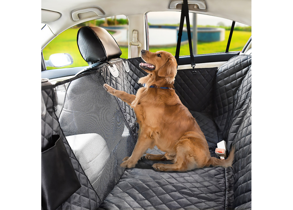 Choosing the Best Pet Backseat Cover for Your Car