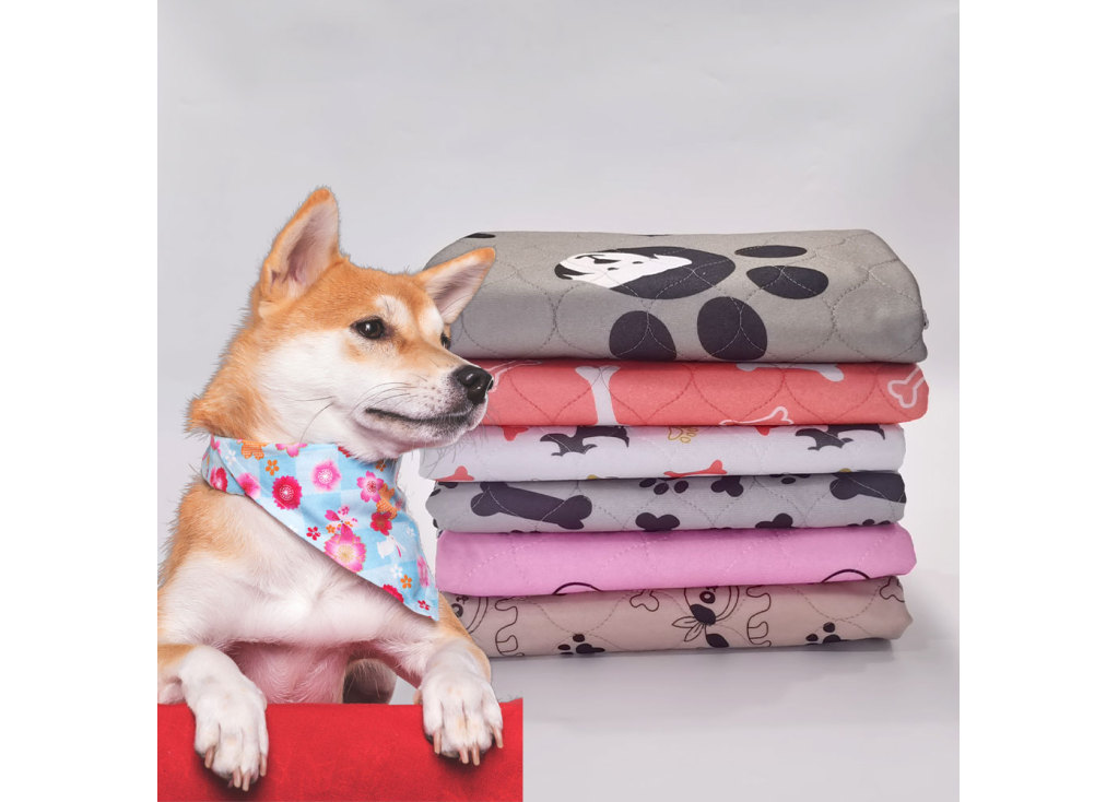 How to train a puppy to use a pee pad?