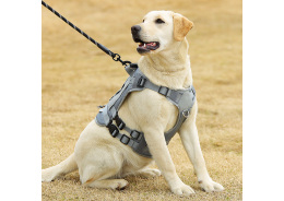 Learn About Pet Harnesses