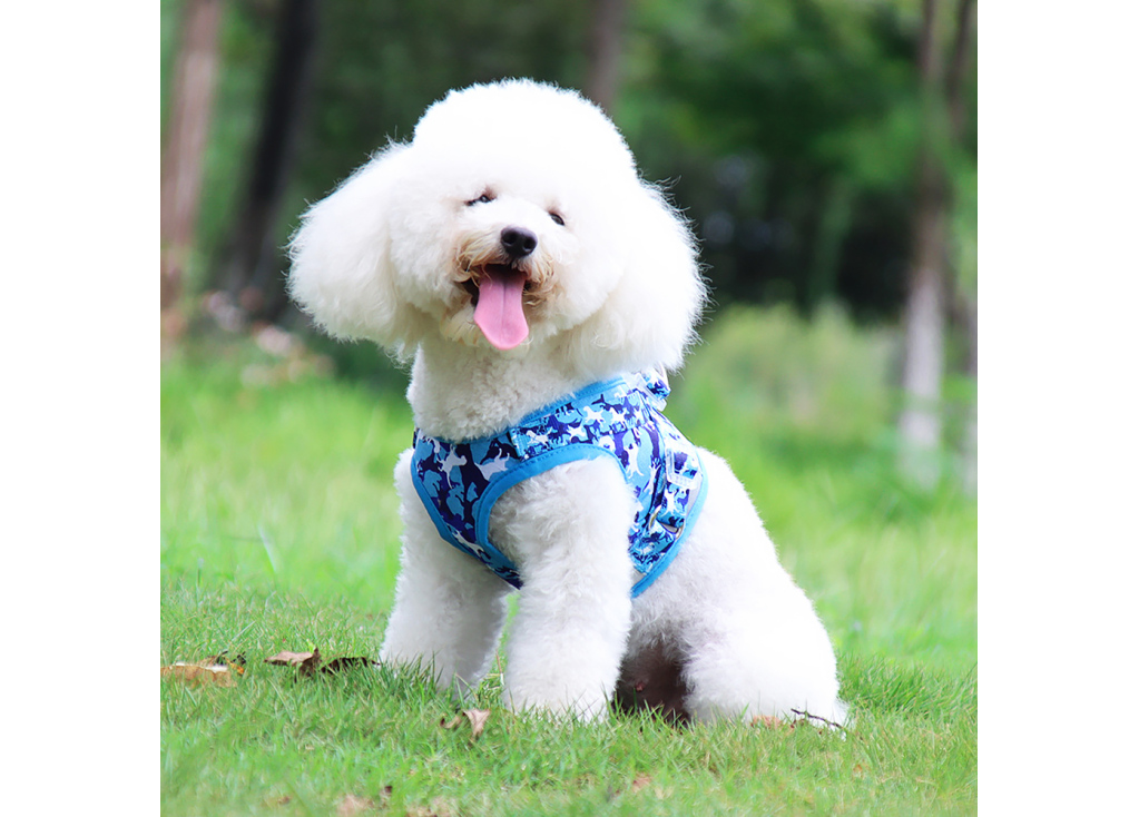 Types of dog harnesses