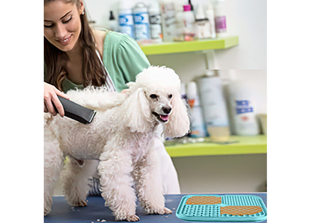 ¿Cuándo debo usar un tapete para lamer y cuáles son los beneficios para mi perro?