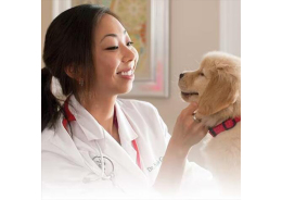 Your Puppy's First Visit to the Vet, Shots & Vaccinations