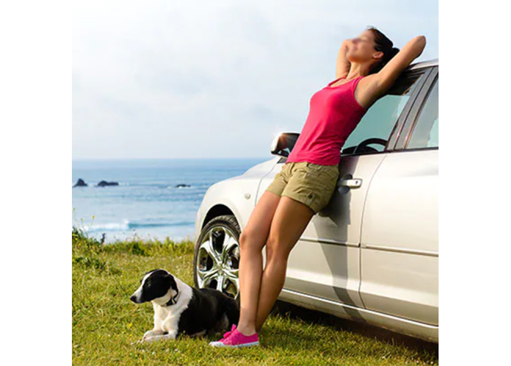 Tips for Traveling with Your Dog in the Car