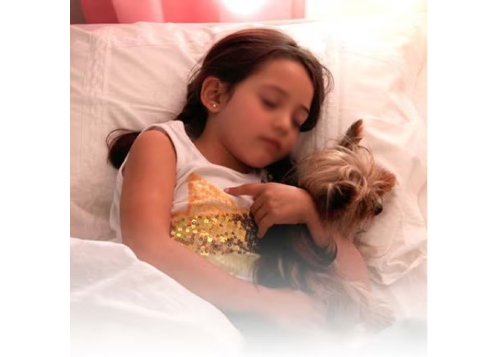 Great Ways to Pamper & Spoil Your Dog