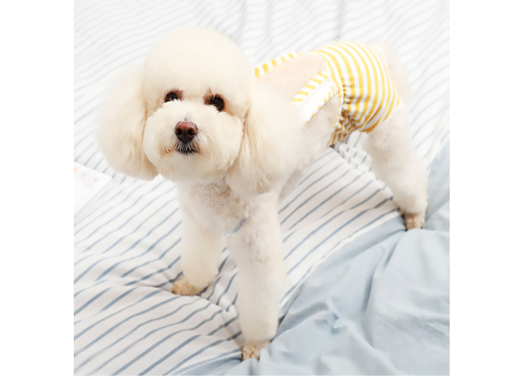 La guía definitiva sobre pañales lavables para perros: un cambio radical para los dueños de mascotas