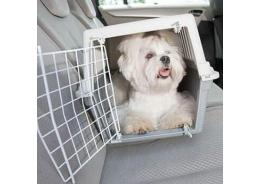 ¿Qué tamaño de transportador de mascotas debo comprar?