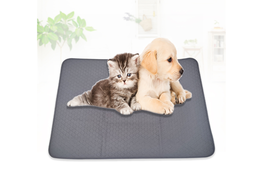 Pet Pee Pads: The Ultimate Solution for a Clean and Tidy Home