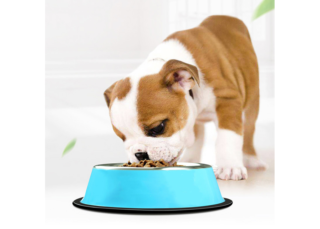 What foods are good for pets?