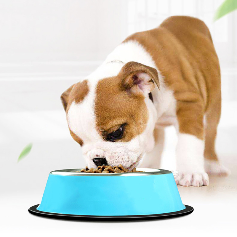 Wholesale Pet Bowls Multiple Colour Pet Food Container Non-slip 201 Stainless Steel Pet Bowls For Small Animals