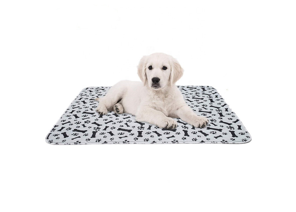 Introducing the perfect solution for pet owners: our pet urine pad!