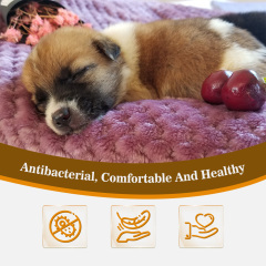 Wholesale Cat Dog Sleeping Cheap Blanket Factory Direct Comfortable Pet Bed Car Blanket