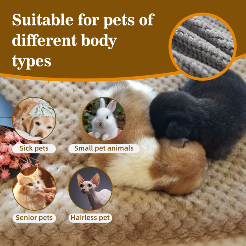 Wholesale Cat Dog Sleeping Cheap Blanket Factory Direct Comfortable Pet Bed Car Blanket