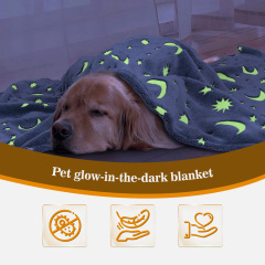 Winter Extra Thick Double Blanket Autumn Winter Style Plush Self-heating Pet Blanket