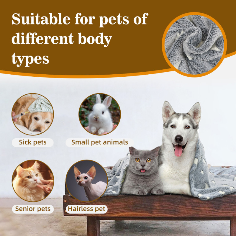 Winter Extra Thick Double Blanket Autumn Winter Style Plush Self-heating Pet Blanket