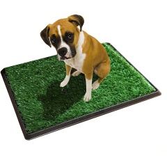 芝生のドアとバスルームマット ペット 屋内 子犬 犬 ペット トイレトレーニング おしっこパッド マット付き 芝生の家のトイレ カスタム サステナブルグリーン