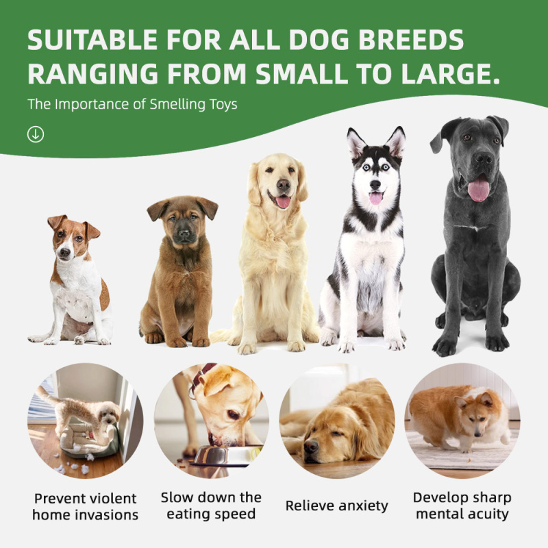 Wholesale Pet Product Dog Snuffle Mat Dinosaurs Series Food Hiding Dog Mat Interactive Snuffle Mat