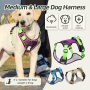 Wholesale Reflective Dog Harnesses  Adjustable Breathable Sport Harness With Handle