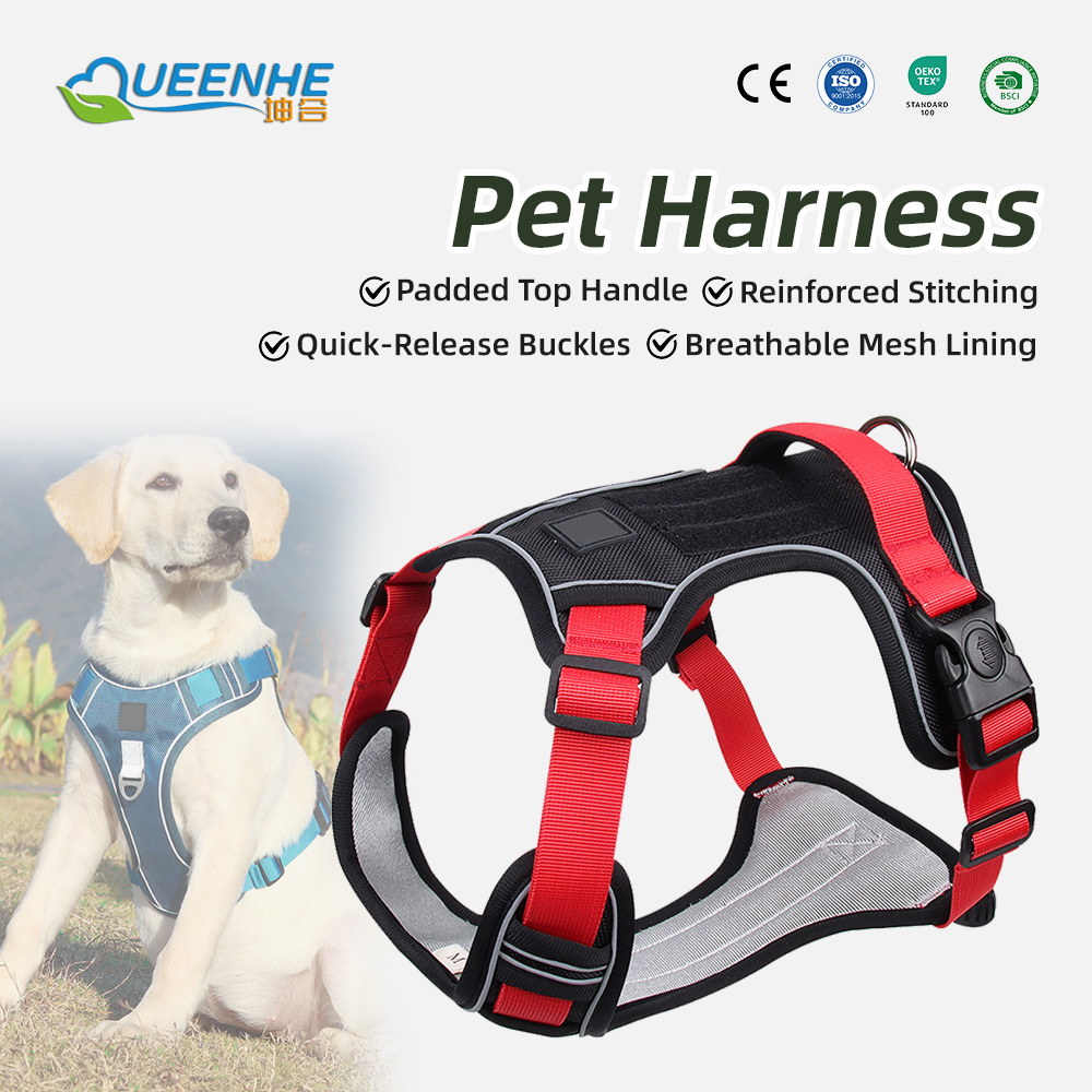 Pet Leash Tool