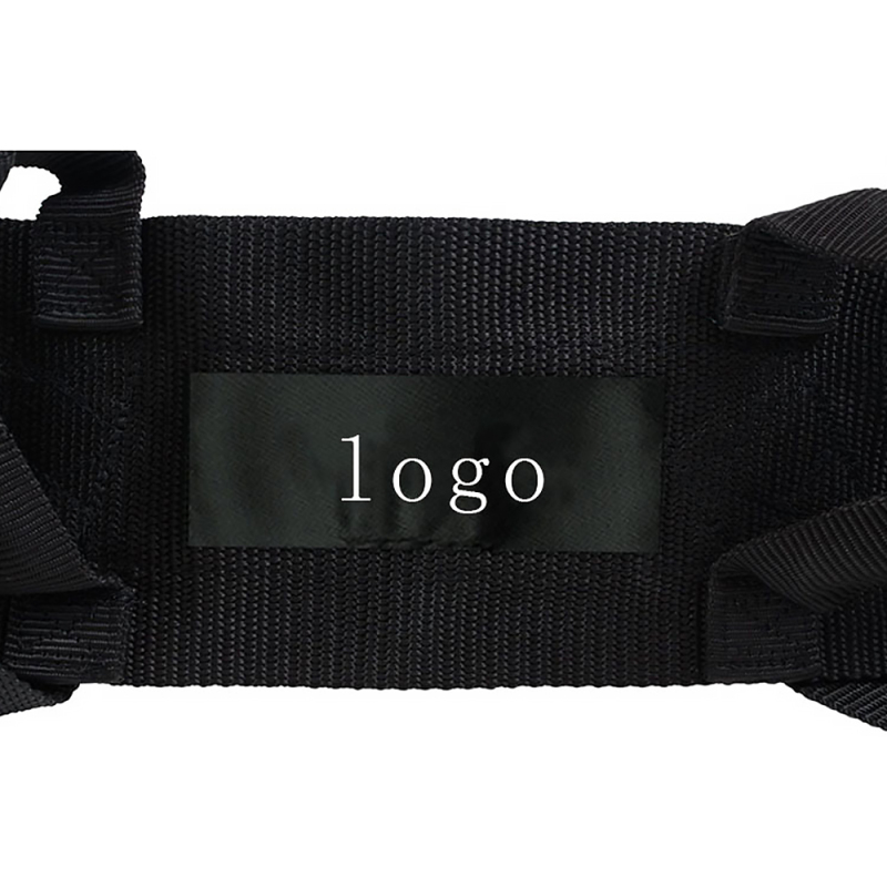 Wholesale Adjustable Patient Transfer Belt Tradepadded Gait Belt Lift Aid Transfer Sling Belt with Handles