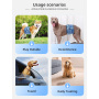 Wholesale Pet Products Reusable Washable Dog Belly Wrap Diapers for Female Dogs, Washable Puppy Belly Band