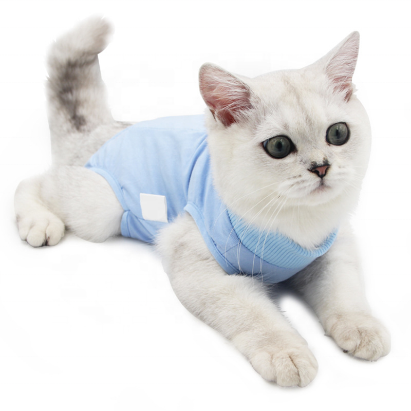 Cat Professional Recovery Suit for Abdominal Wounds or Skin Diseases, After Surgery Wear, Pajama Suit
