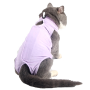 Cat Professional Recovery Suit for Abdominal Wounds or Skin Diseases, After Surgery Wear, Pajama Suit